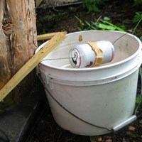 Портфолио Alessia Cara