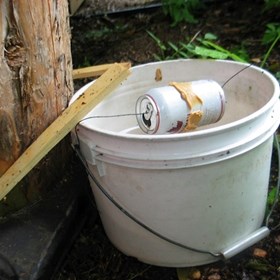 Best Mouse Killer: Alaina Ernest